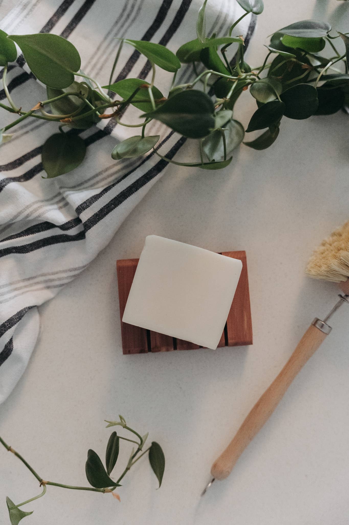 Zero Waste MVMT - Solid Dish Soap Bar - Bergamot + Lime