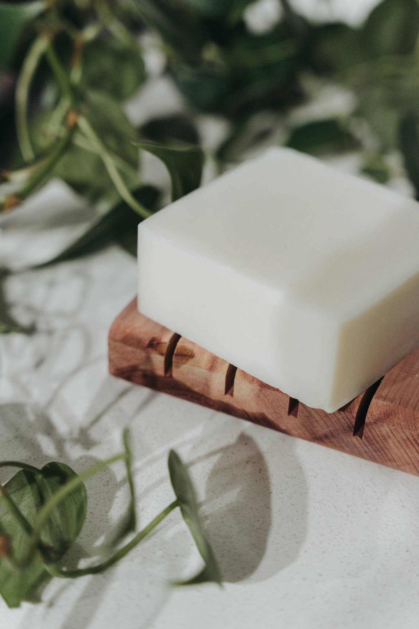 Zero Waste MVMT - Solid Dish Soap Bar - Bergamot + Lime