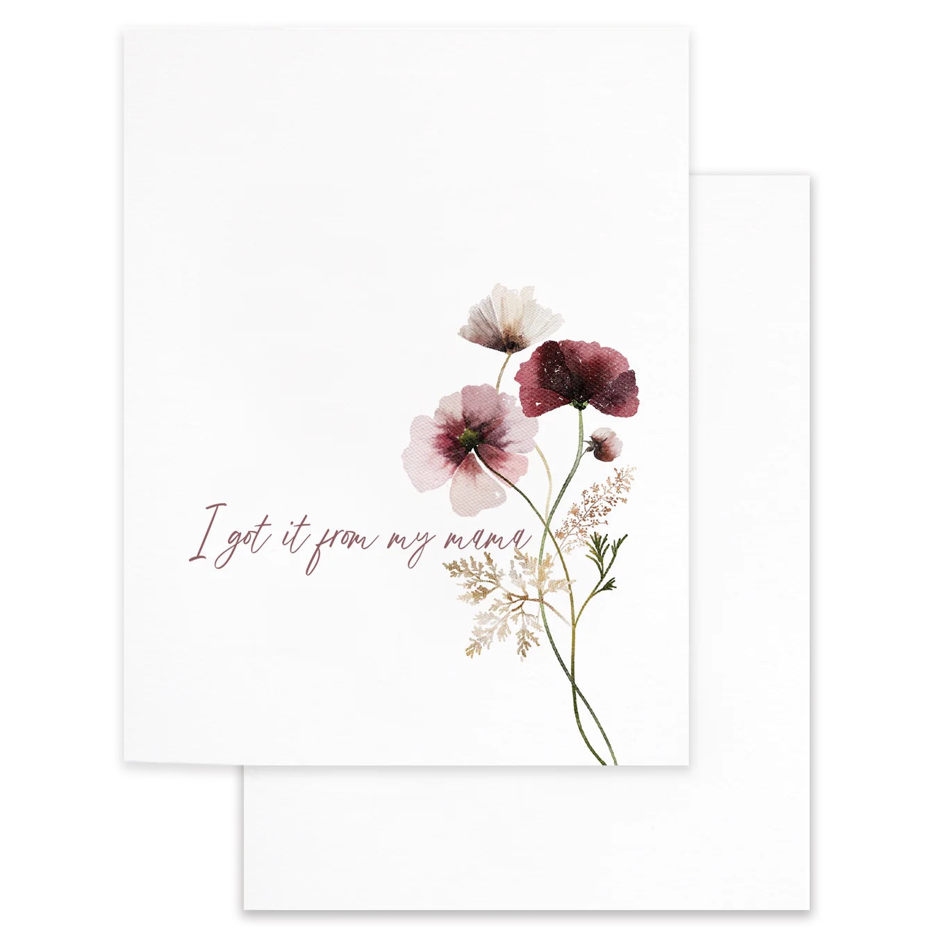 Cardideology Greeting Card - I Got It From My Mama