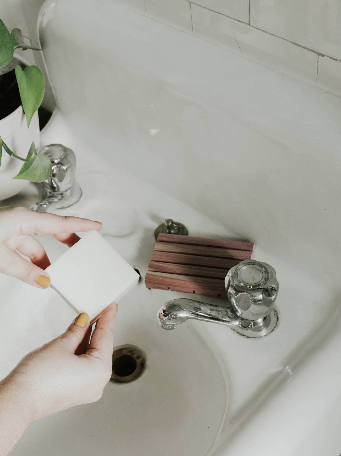 Zero Waste MVMT - Solid Dish Soap Bar - Bergamot + Lime
