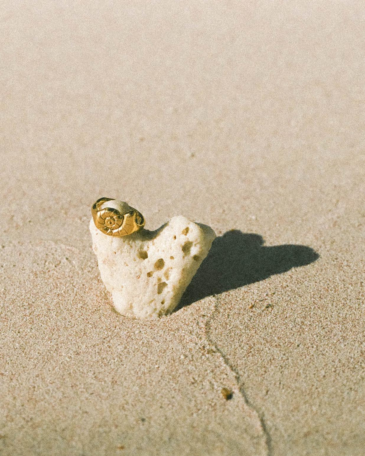 Rauw. We.ar The Sea Ring