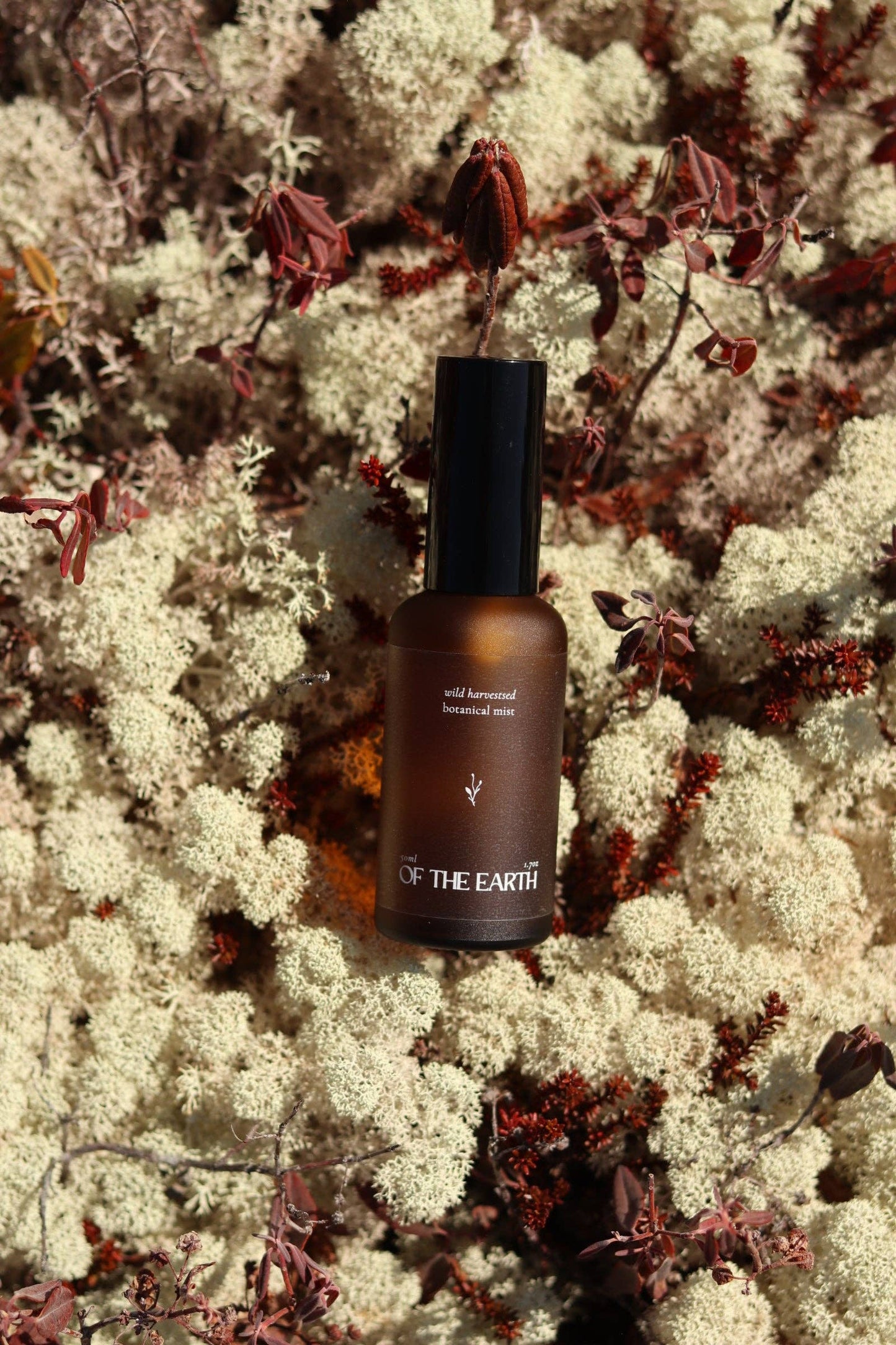 of the earth:: Juniper, Reindeer Moss & Labrador Tea Room, Body & Linen Botanical Mist
