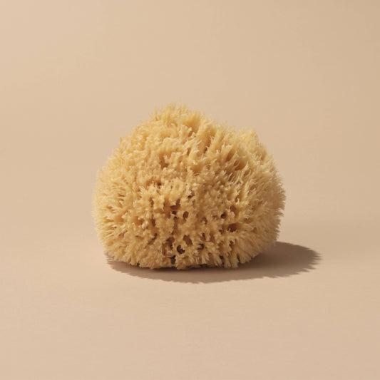 Natural Sea Wool Sponge - Large