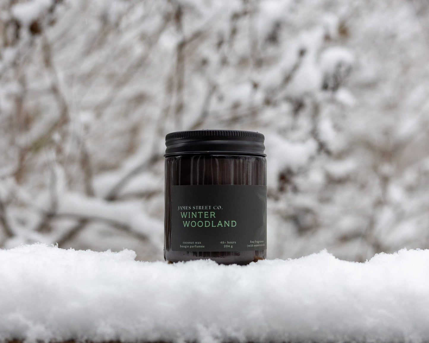 James Street Co. Winter Woodland Standard Candle - 8oz