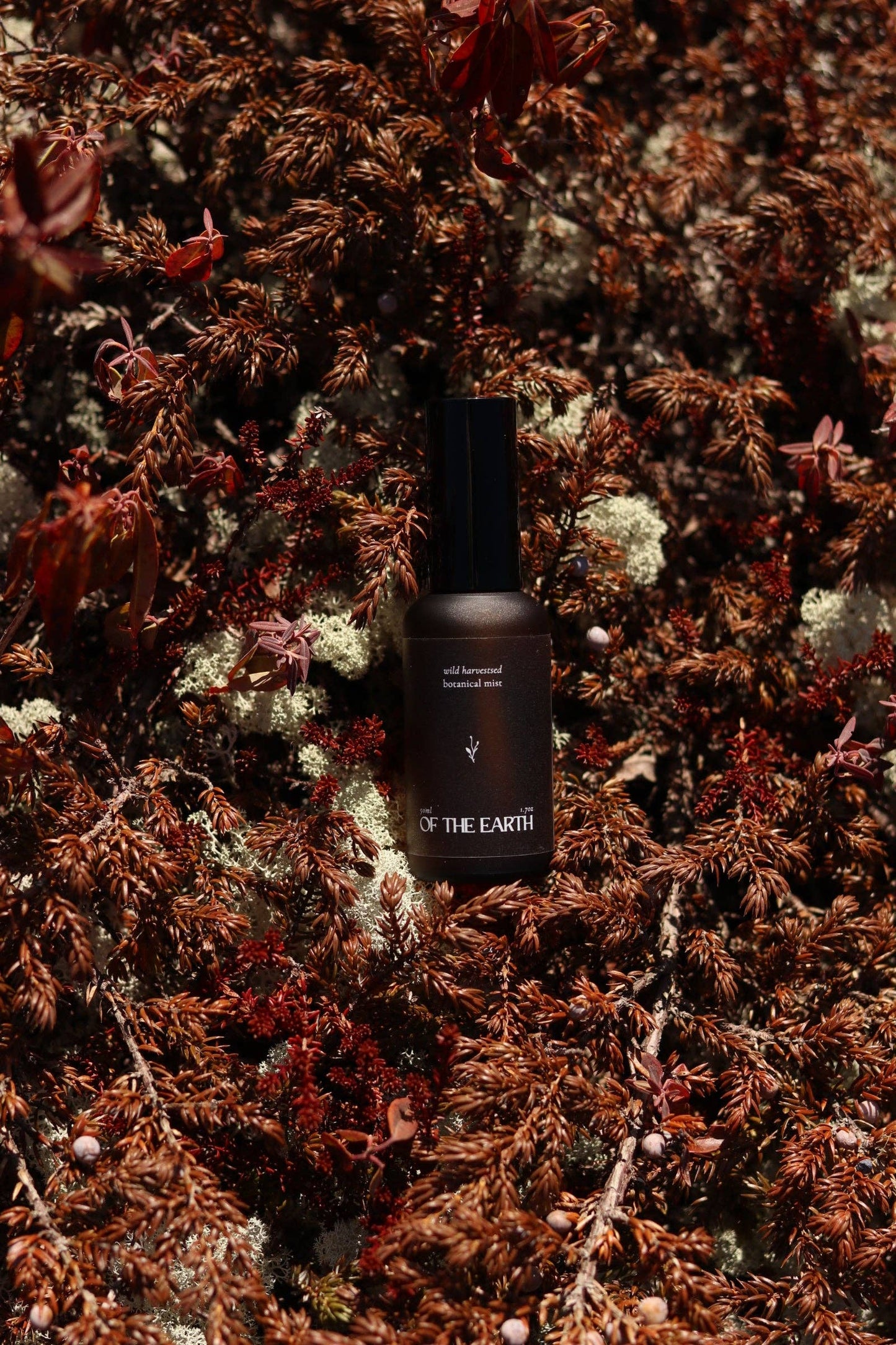 of the earth:: Juniper, Reindeer Moss & Labrador Tea Room, Body & Linen Botanical Mist