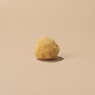 Natural Sea Wool Sponge - Small