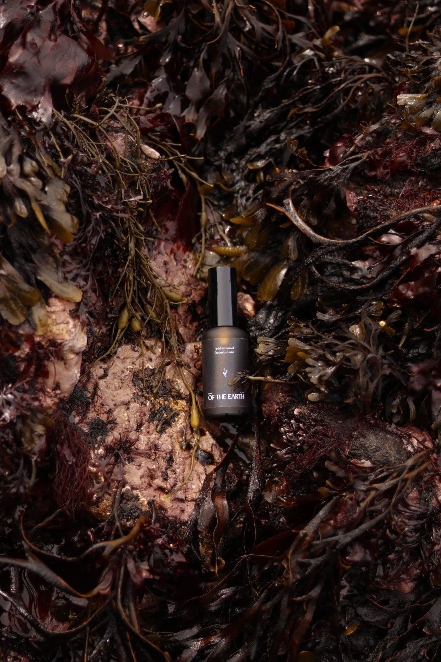 of the earth:: Balsam Fir & Seaweed Room, Body & Linen Botanical Mist