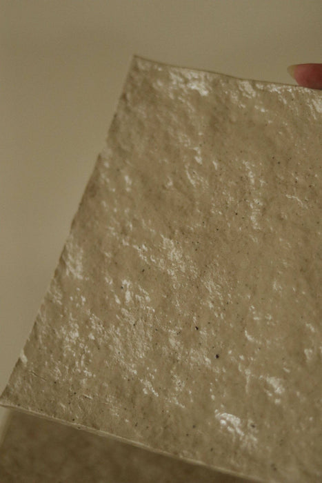 of the earth:: 8" Rock Textured Plate