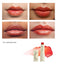 Artifact Soft Sail Blurring Tinted Lip Balm - Various