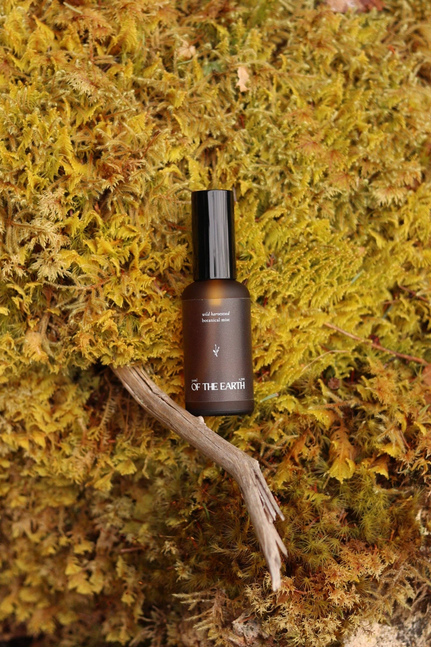 of the earth:: Black Spruce, Usnea & Moss Room, Body & Linen Botanical Mist