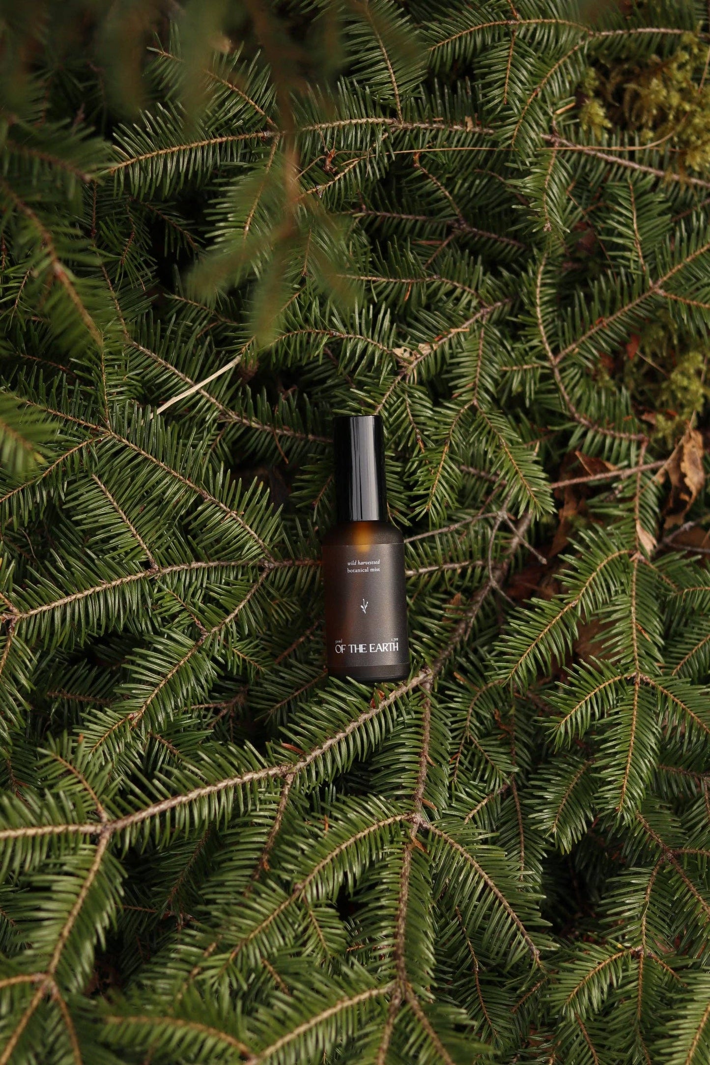 of the earth:: Balsam Fir & Seaweed Room, Body & Linen Botanical Mist