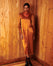 FRNCH Noor Dress - Vintage Gold