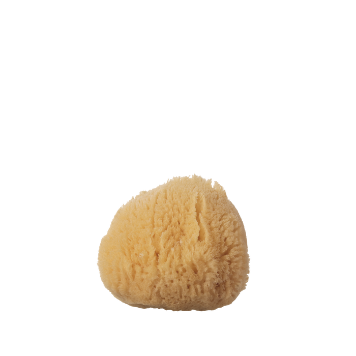 Natural Sea Wool Sponge - Small