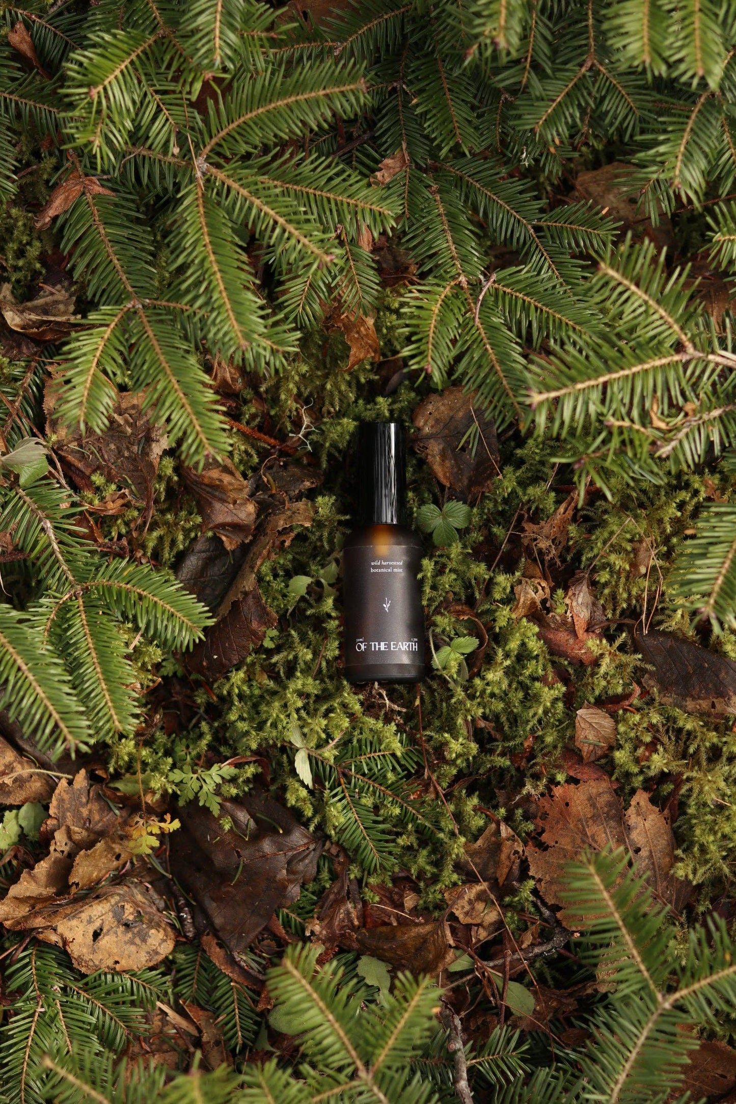 of the earth:: Balsam Fir & Seaweed Room, Body & Linen Botanical Mist