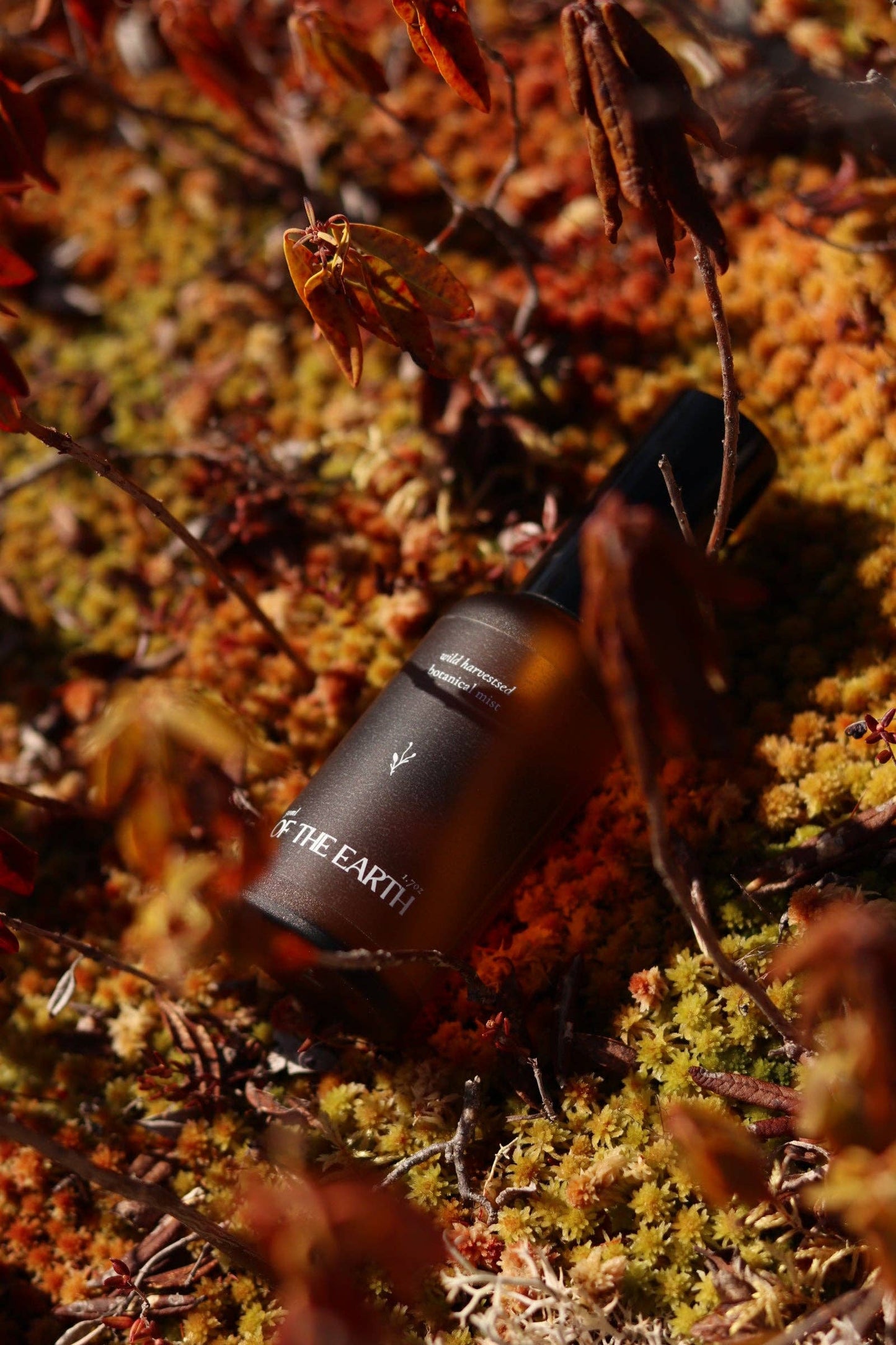 of the earth:: Juniper, Reindeer Moss & Labrador Tea Room, Body & Linen Botanical Mist