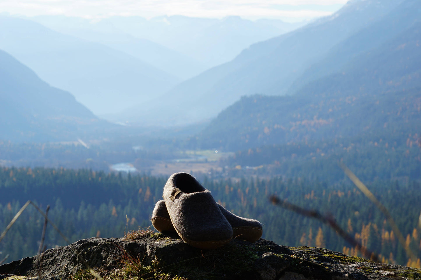 The Cottager Shlips - Driftwood