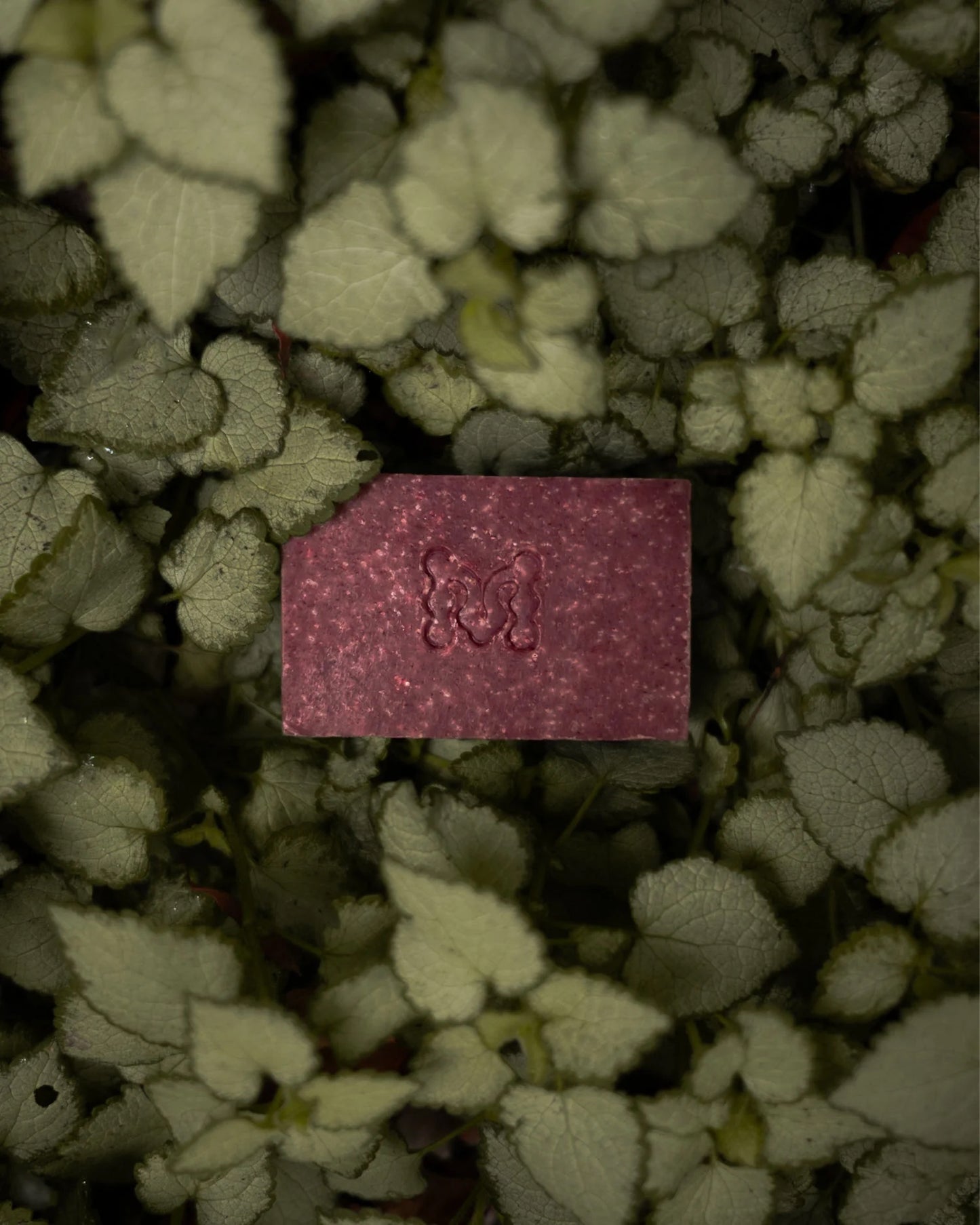 Momenti Botanicals Eden Soap Bar