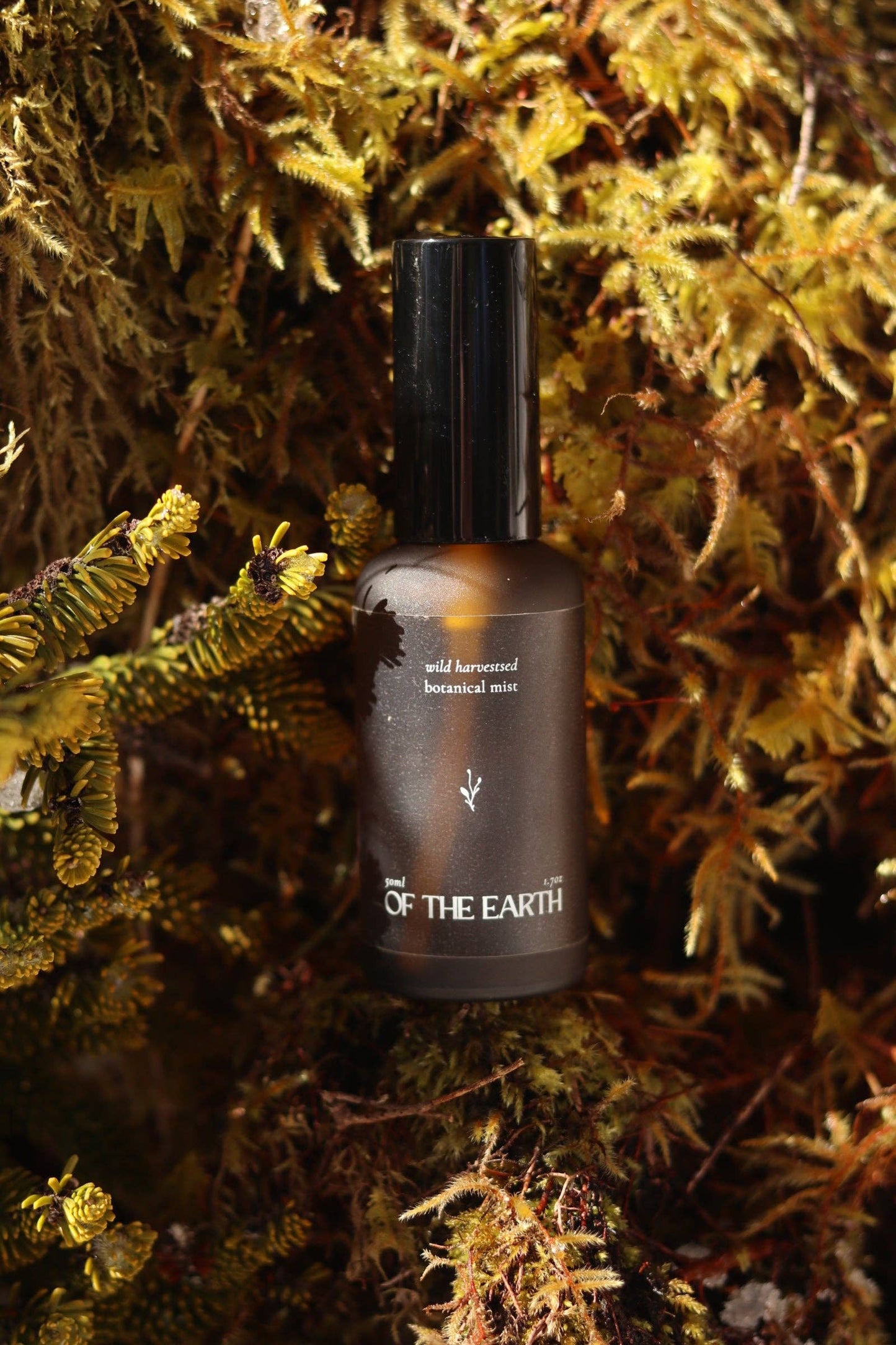 of the earth:: Black Spruce, Usnea & Moss Room, Body & Linen Botanical Mist