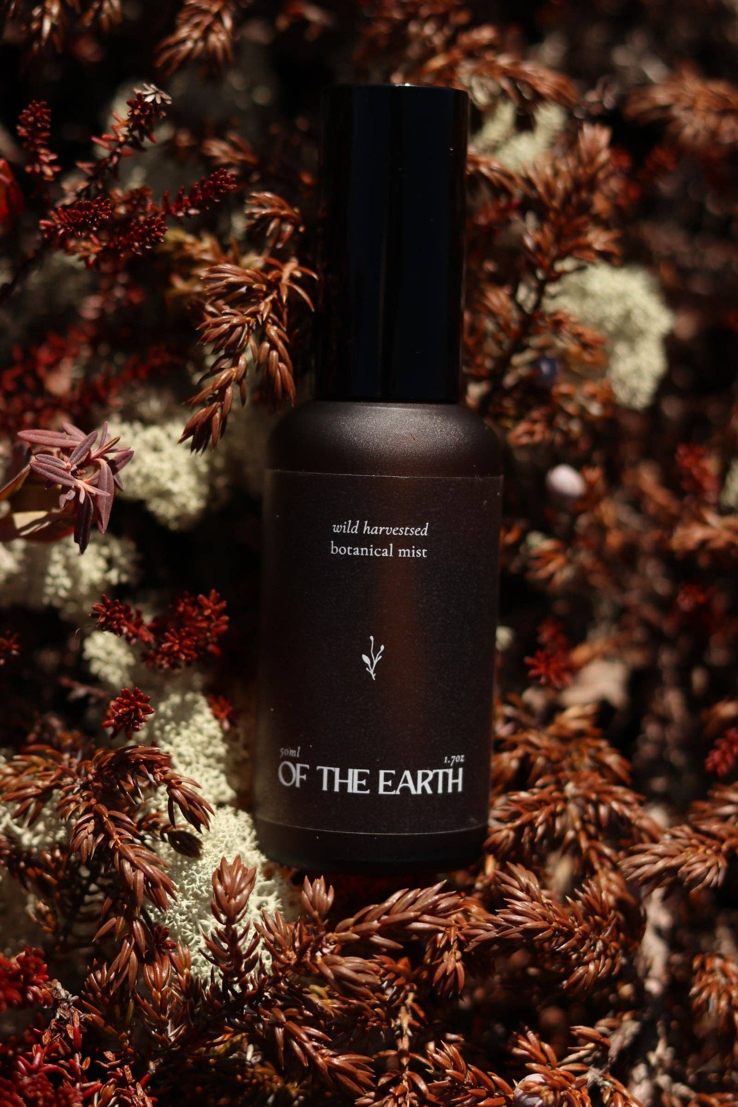 of the earth:: Juniper, Reindeer Moss & Labrador Tea Room, Body & Linen Botanical Mist