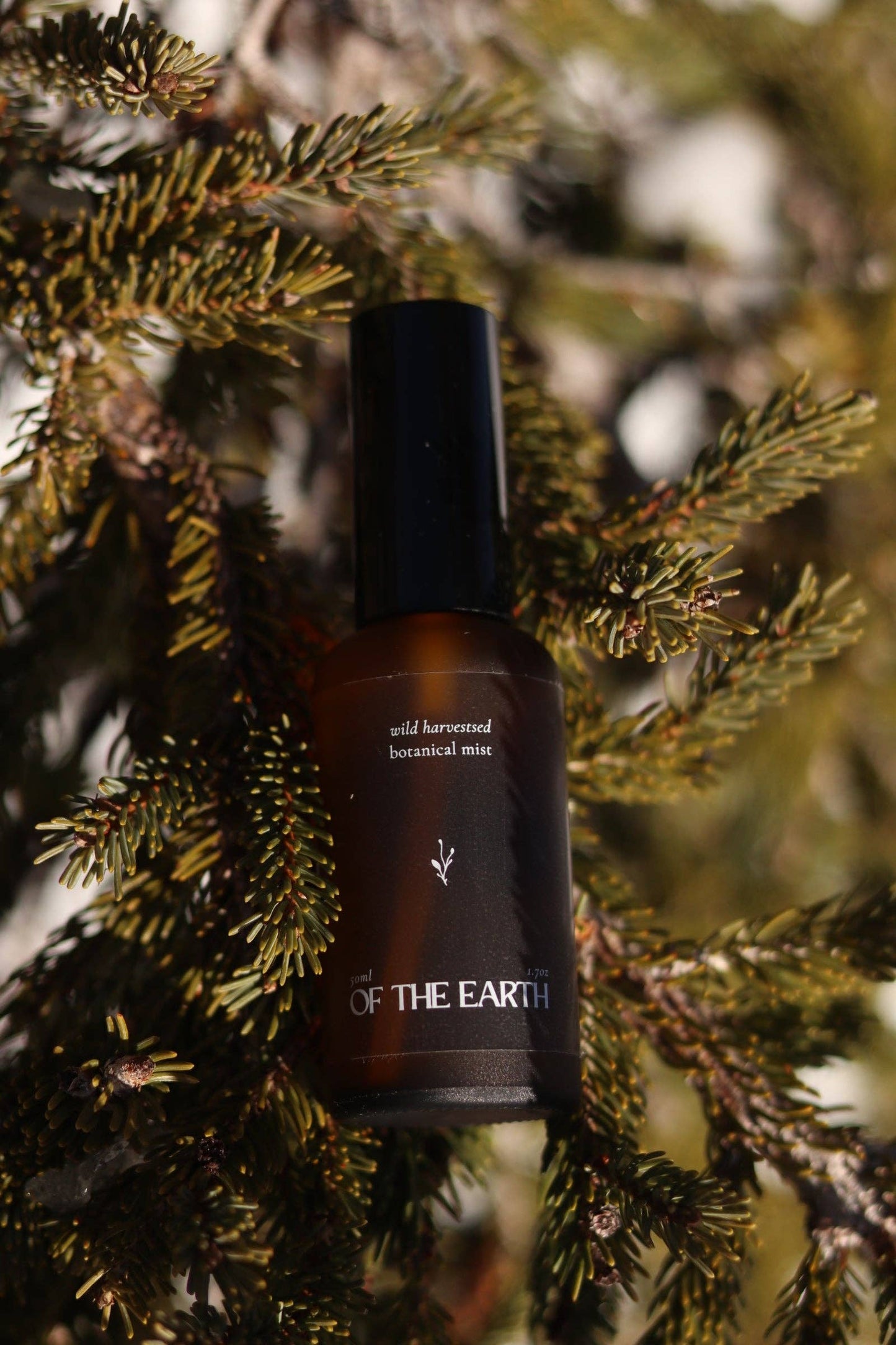 of the earth:: Black Spruce, Usnea & Moss Room, Body & Linen Botanical Mist