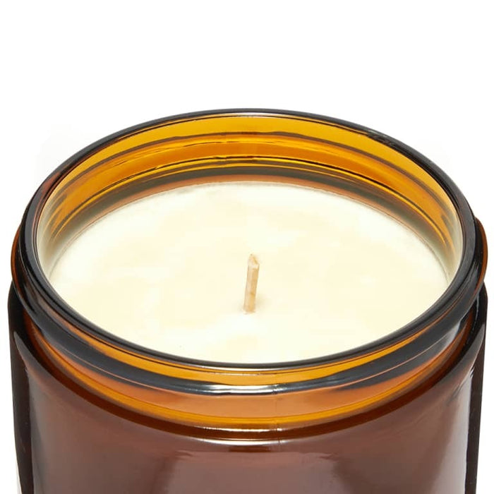 P.F. Candle Co. Amber Moss – 12.5 oz Soy Candle